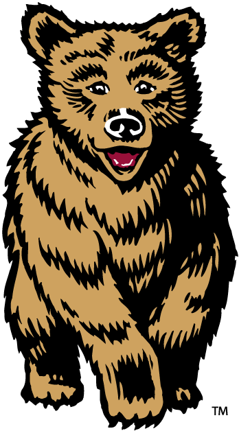 Montana Grizzlies 1996-2009 Mascot Logo diy DTF decal sticker